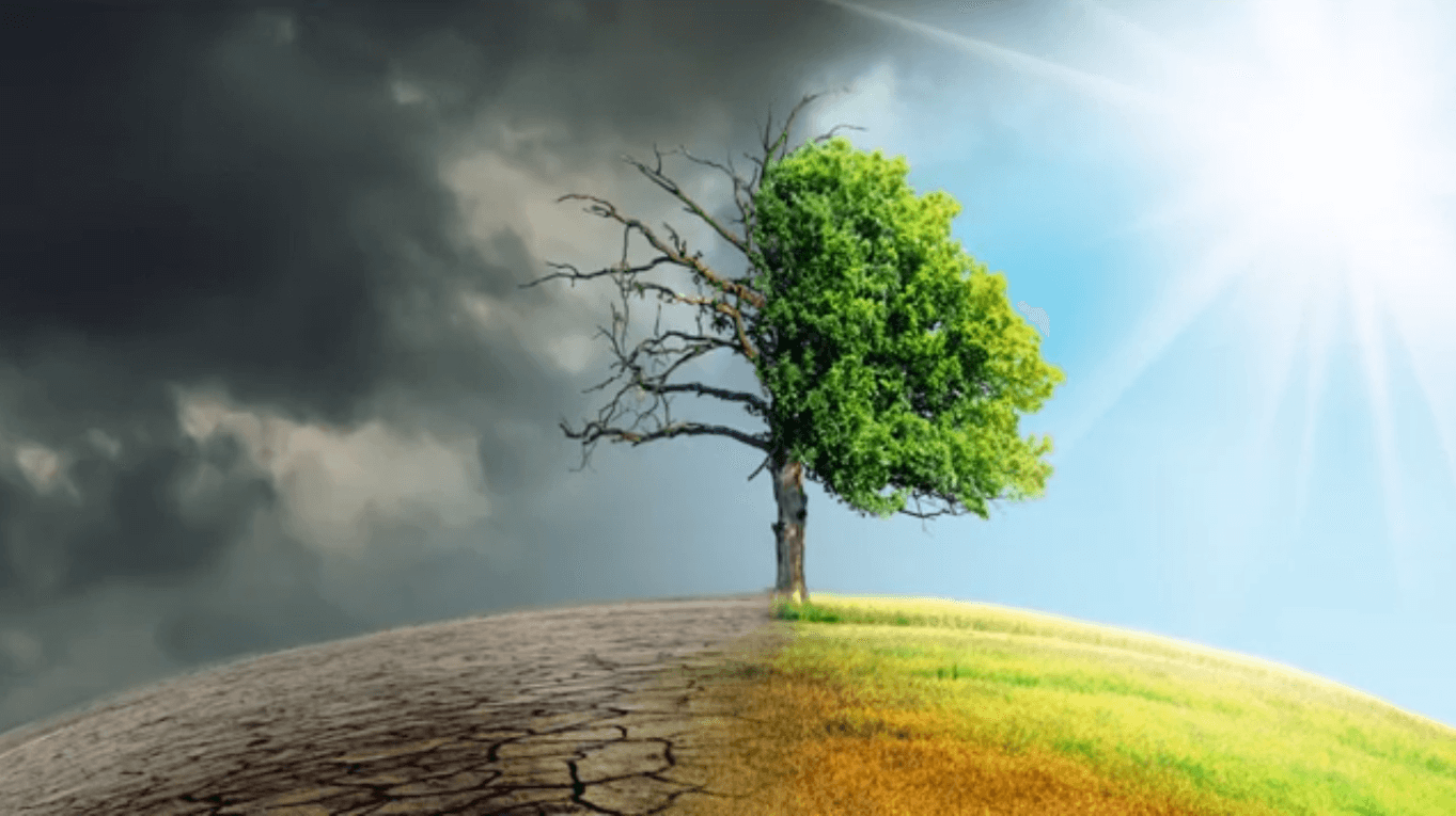 Environmental Quality Video