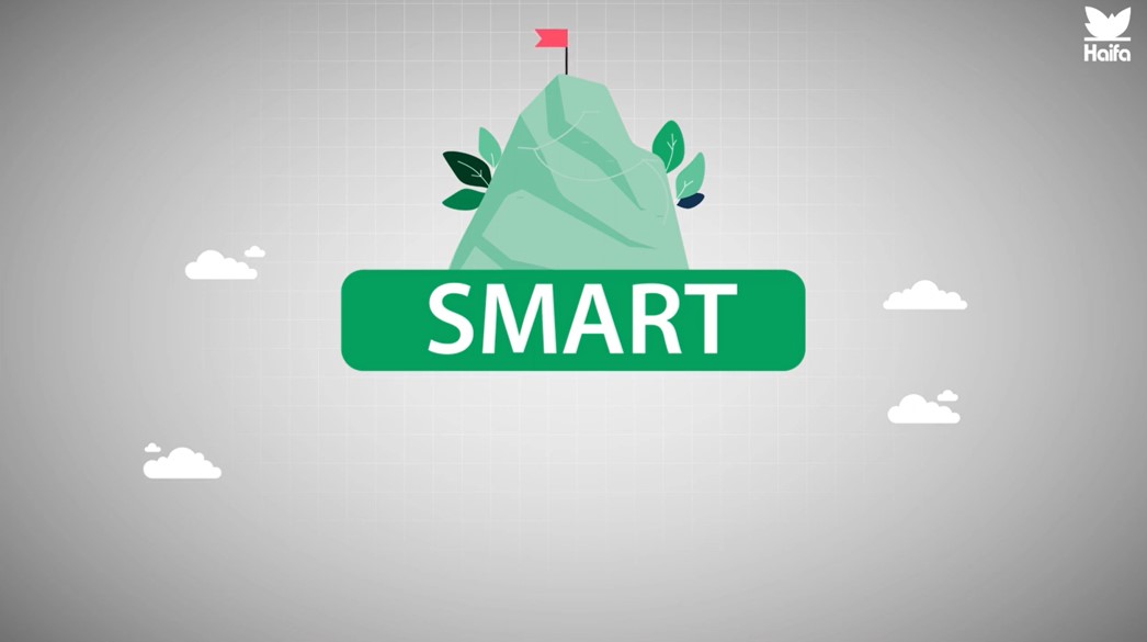 SMART Model