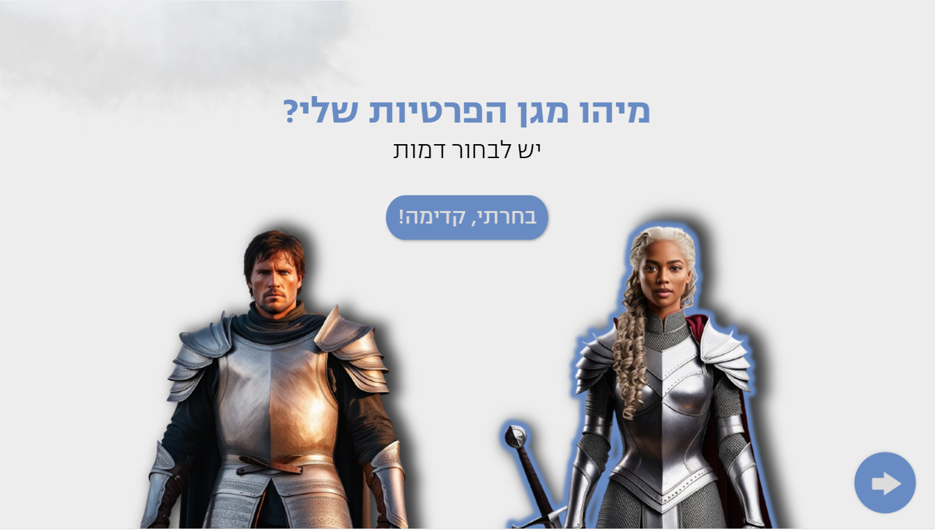 Privacy Protectors — 3