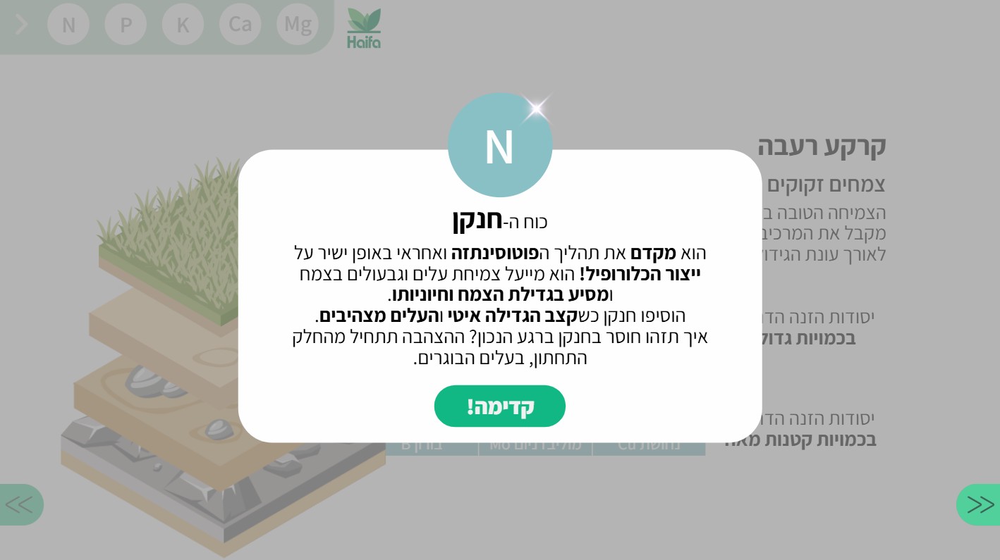 Professional Onboarding — 4