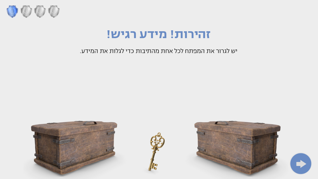 Privacy Protectors — 4